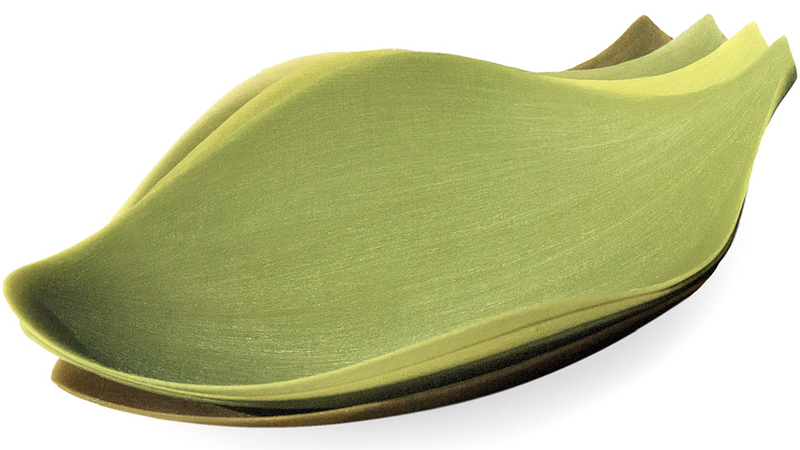 Illustration for article titled Unbreakable Silicone Plates Inspired By Tropical Leaves
